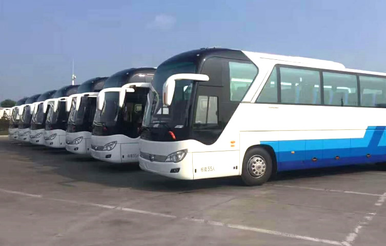 55 buses
